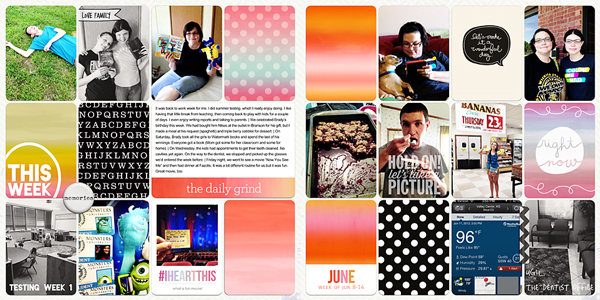 Project Life 2013 Week 24