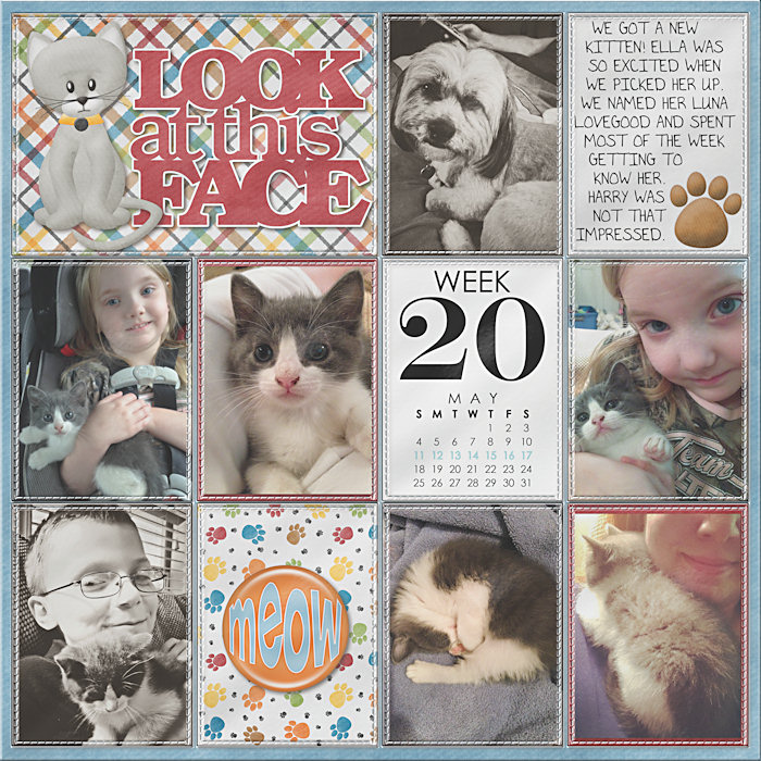 Project Life 2014 Week 20 Left
