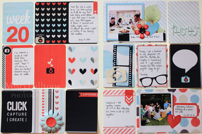 Project Life 2014 - Week 20