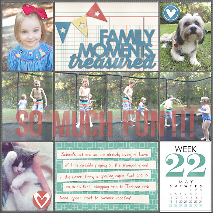Project Life 2014 Week 22 Left