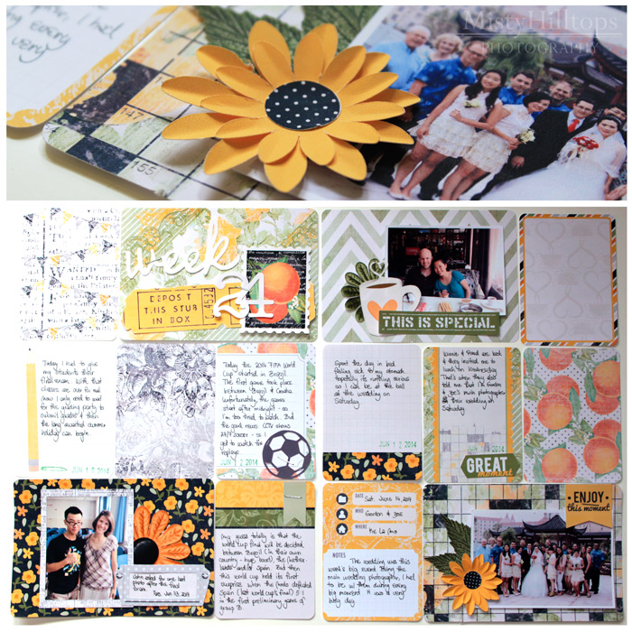 Project Life 2014 - Week 24