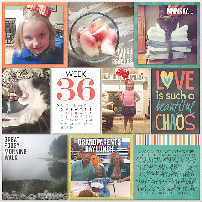 Project Life 2014 Week 36 Right