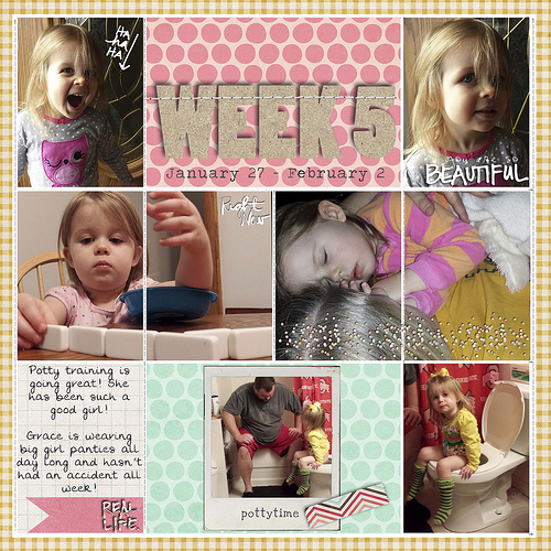 Project Life 2014 Week5 Left