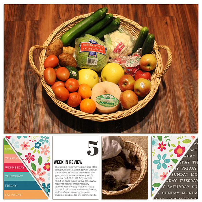Project Life 2015 Week 05