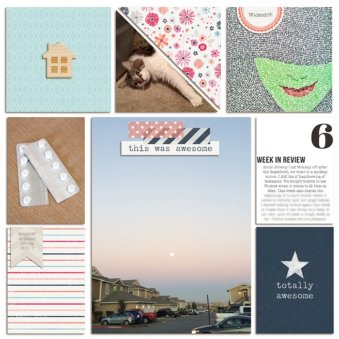 Project Life 2015 Week 06