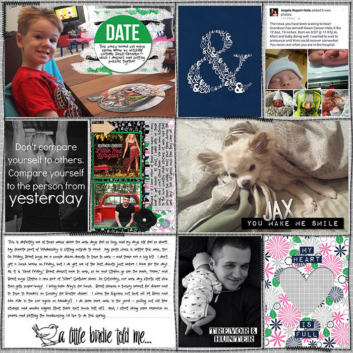 Project Life 2015 - Week 14B