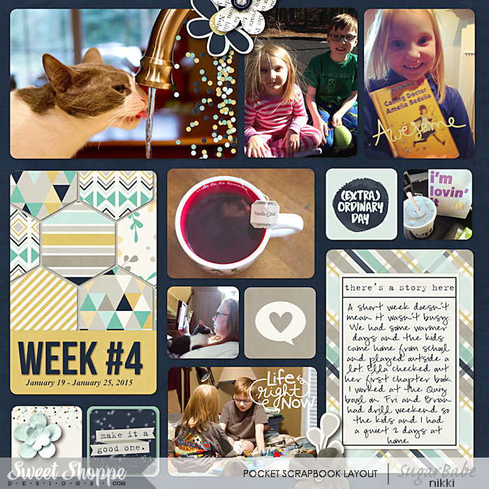 Project Life 2015 Week 4 Left