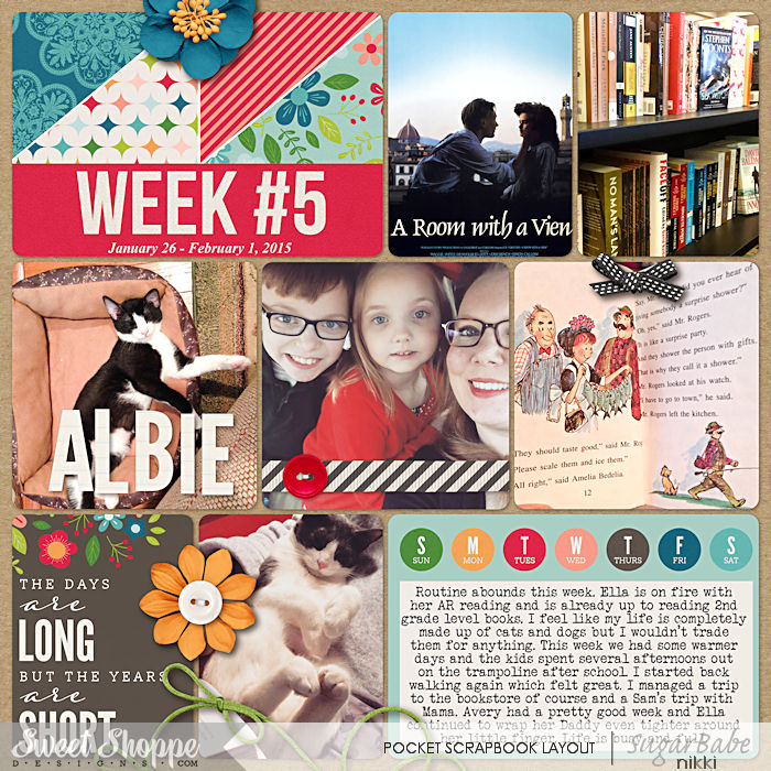 Project Life 2015 Week 5 Left