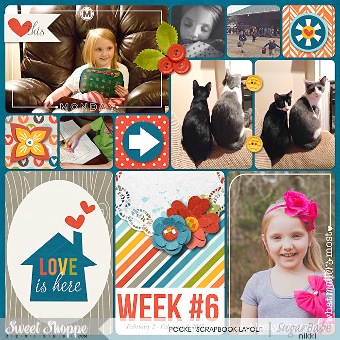 Project Life 2015 Week 6 Right