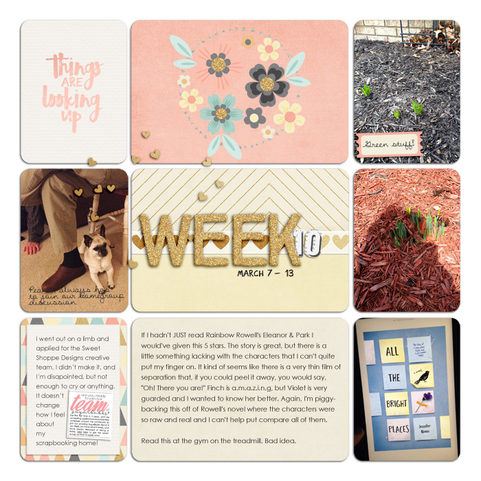 Project Life Week 10