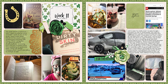 Project Life Week 11