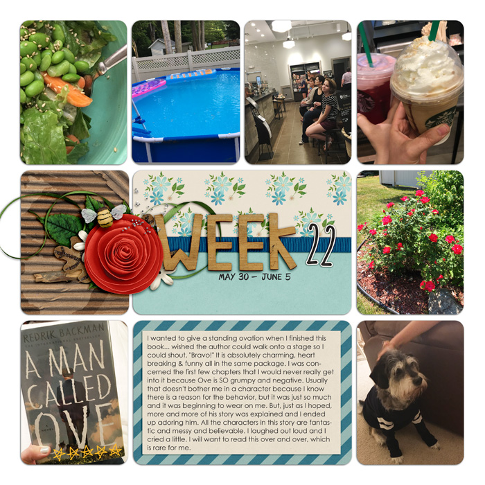 Project Life Week 22