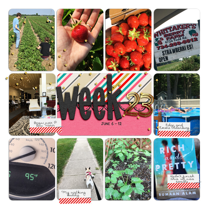 Project Life Week 23
