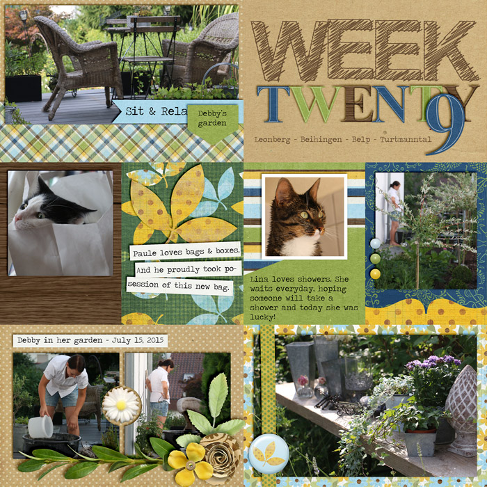 Project Life - Week 29