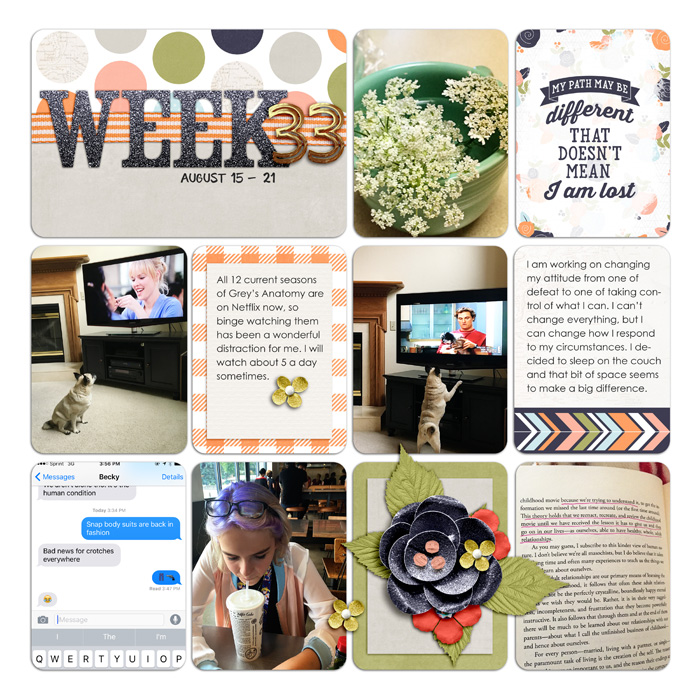Project Life Week 33