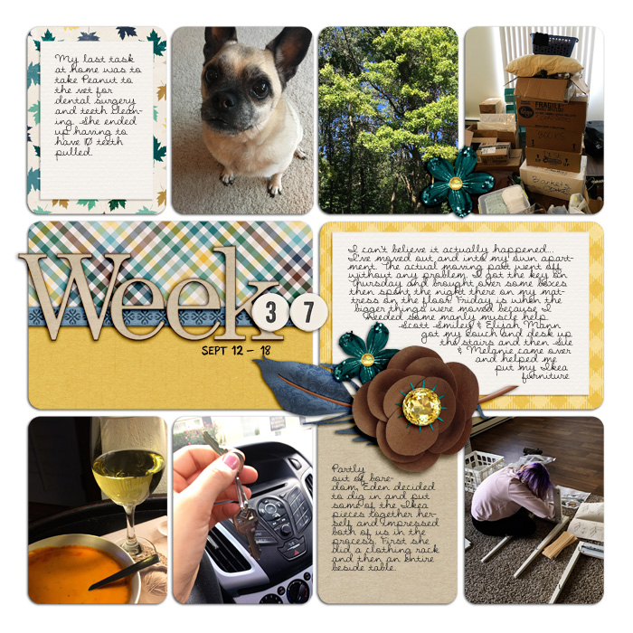 Project Life Week 37