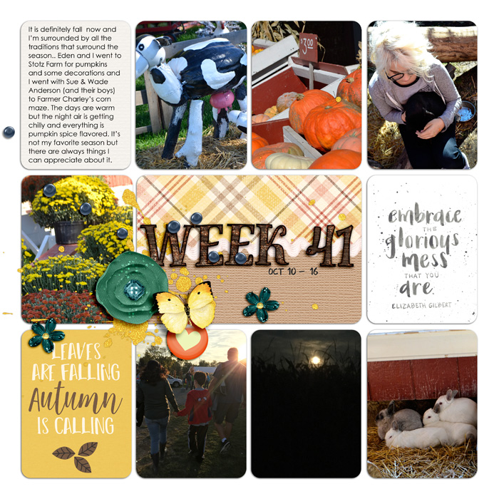 Project Life Week 41