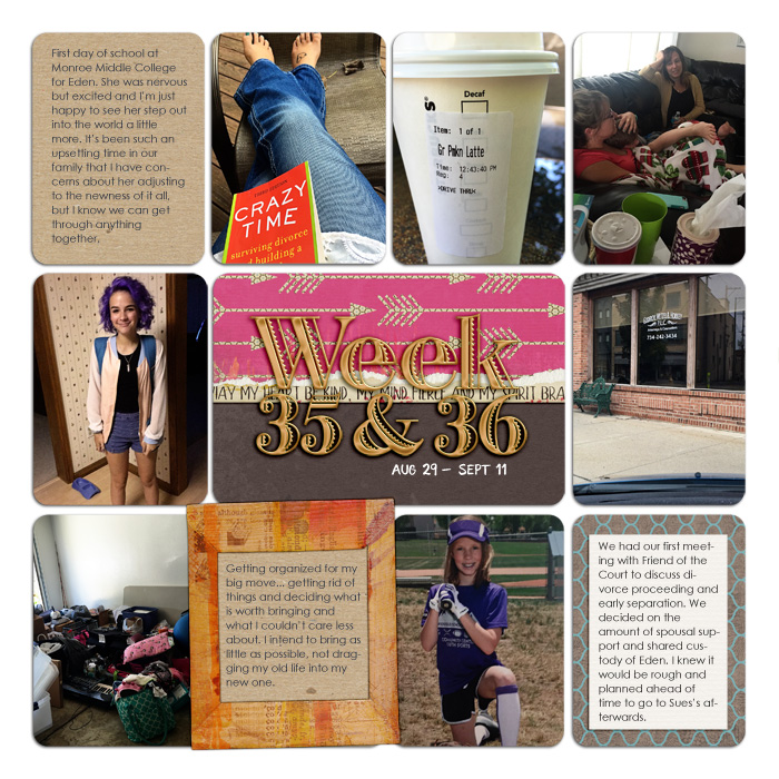 Project Life Weeks 35-36