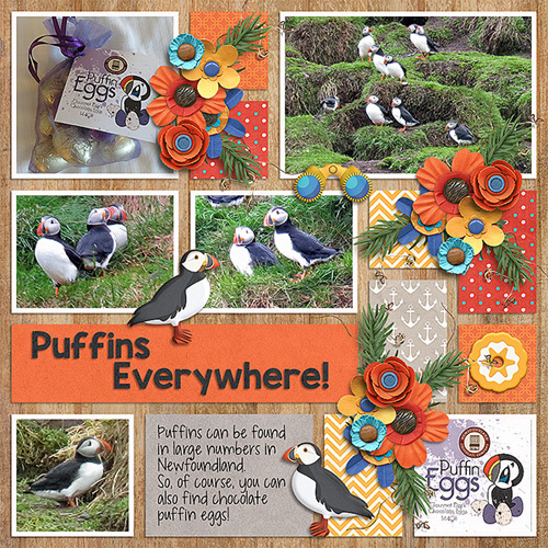 Puffins Everywhere!
