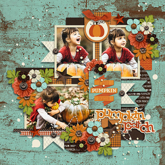 Pumpkin Everything