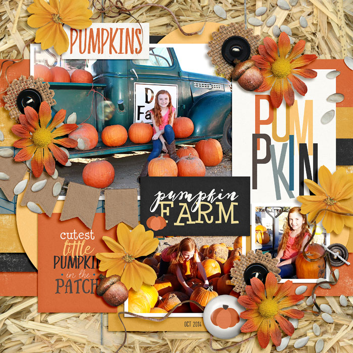 pumpkin farm