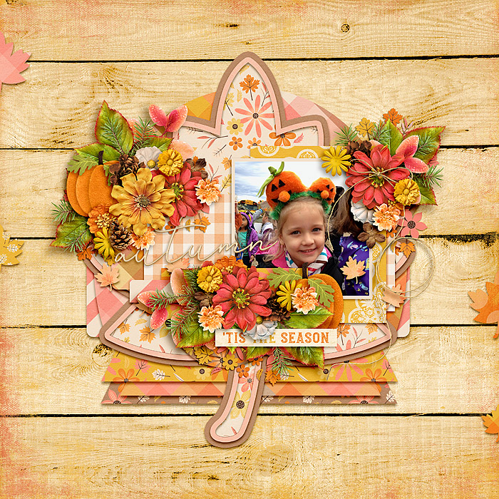 Pumpkin Farm