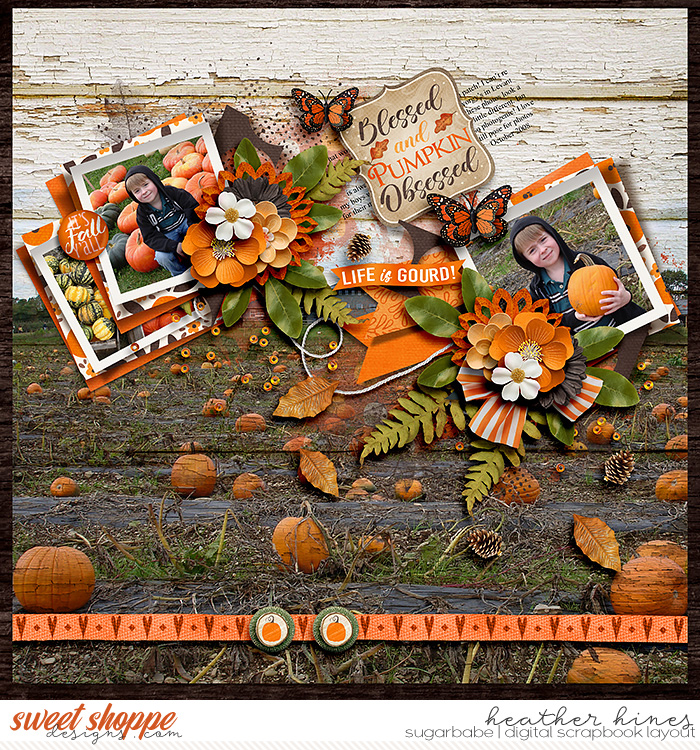 Pumpkin Obsessed