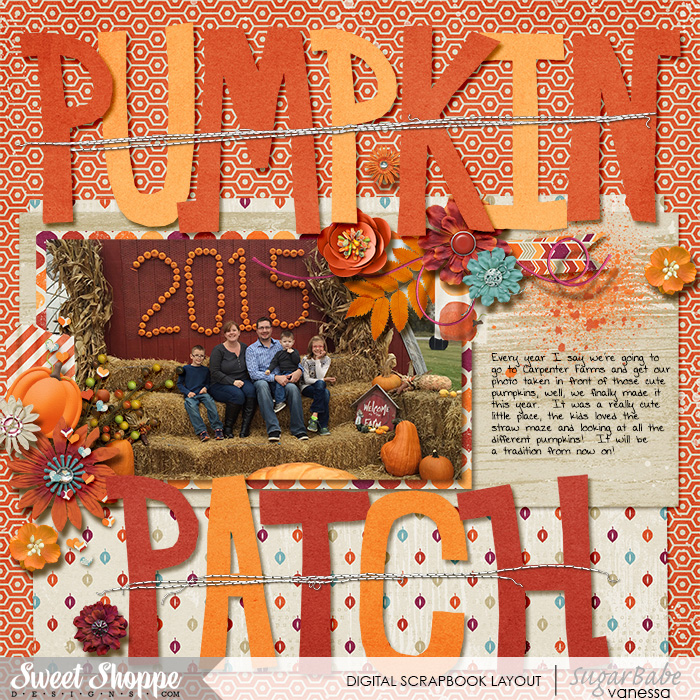 Pumpkin Patch 2015