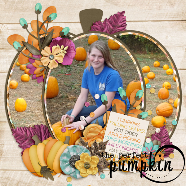 Pumpkin Patch 2015