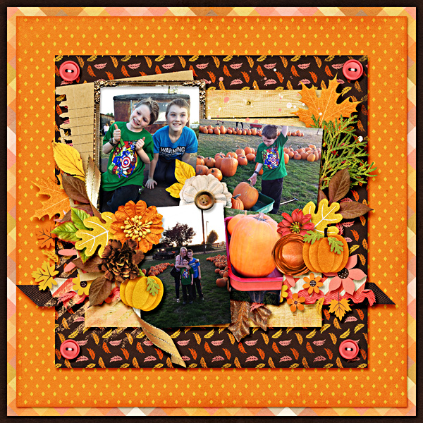 Pumpkin Patch 2015