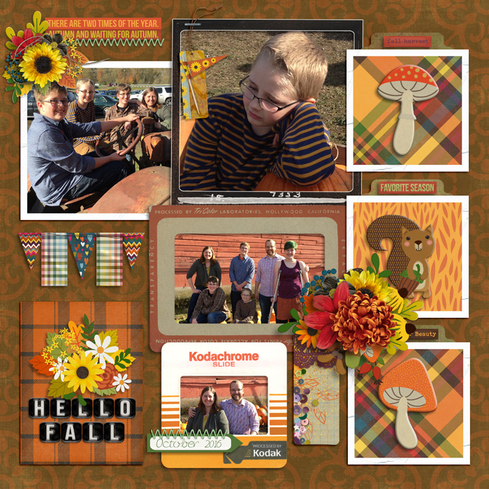 Pumpkin Patch 2016