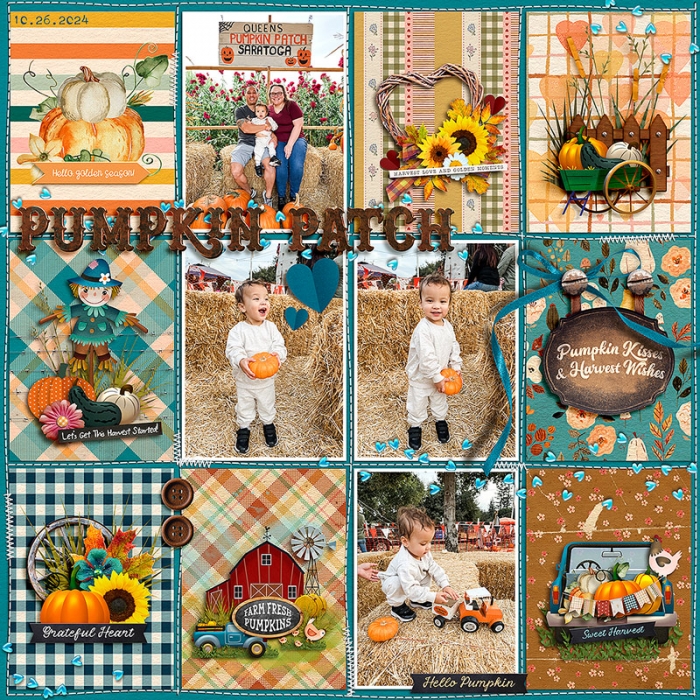 Pumpkin Patch 2024