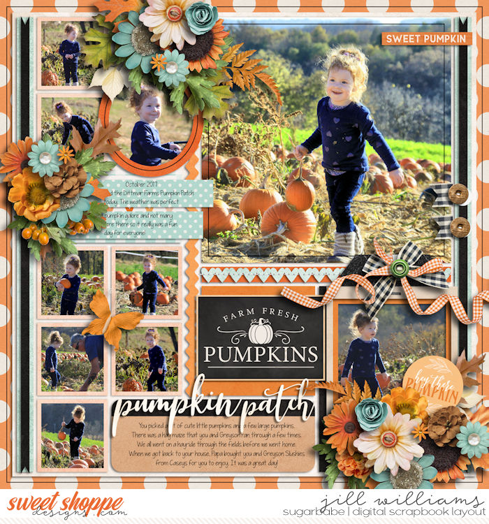 Pumpkin Patch Fun