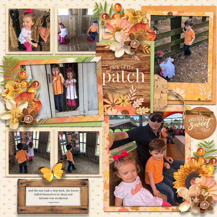 Pumpkin Patch (p1)
