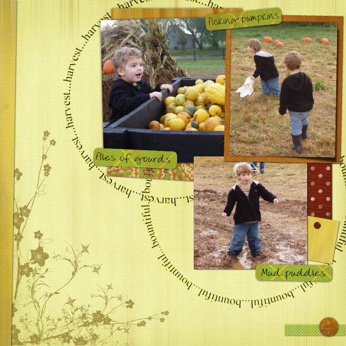 pumpkin patch pg2