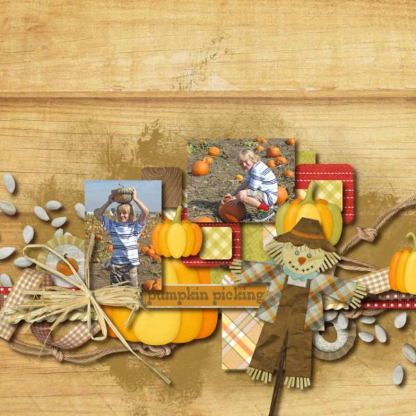 PUMPKIN PATCH