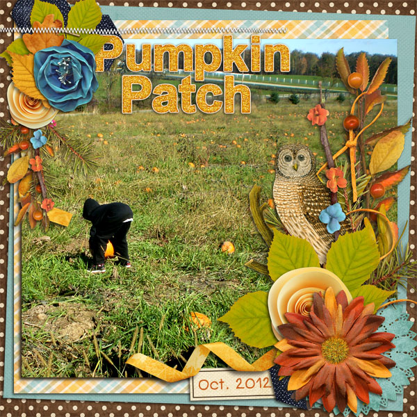 Pumpkin Patch