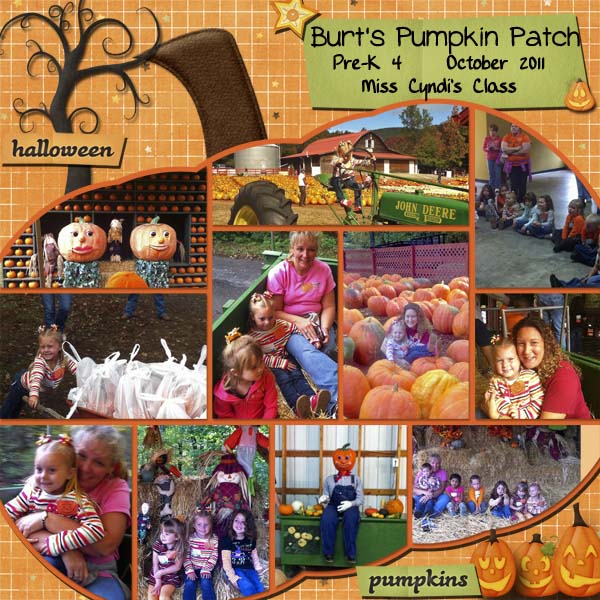 Pumpkin Patch