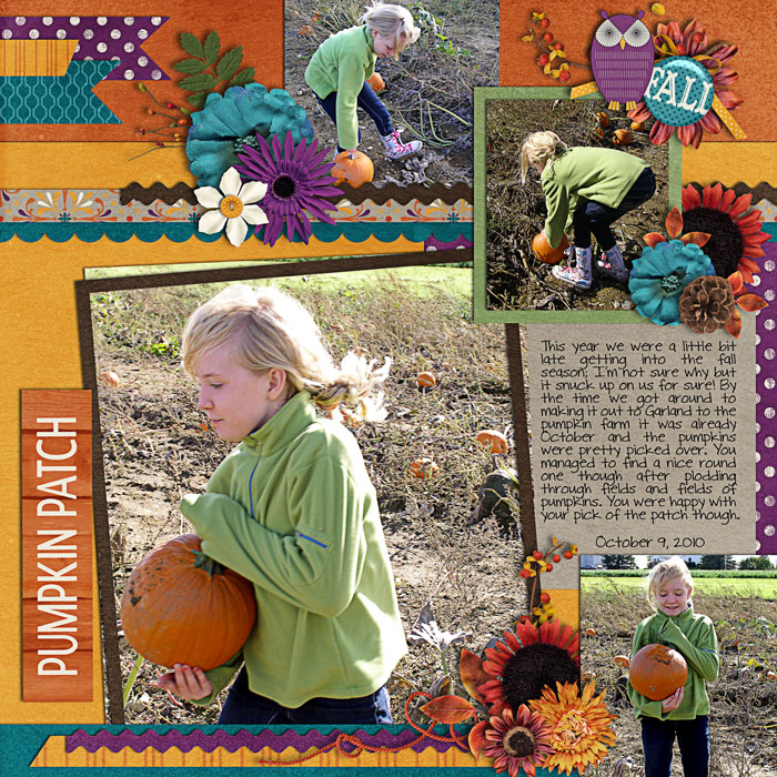 Pumpkin Patch