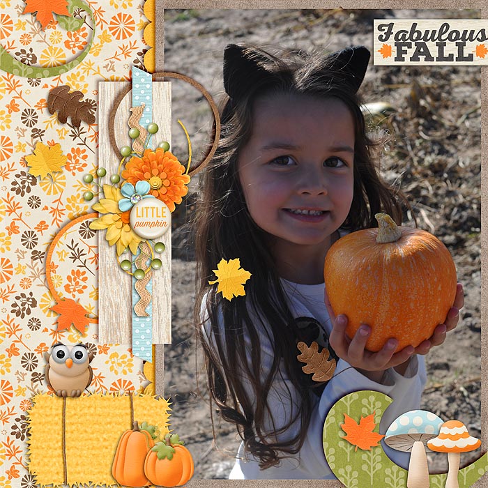 Pumpkin Patch