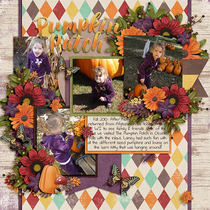 Pumpkin Patch