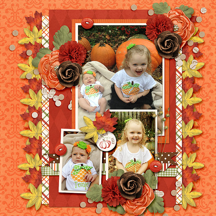 Pumpkin Patch
