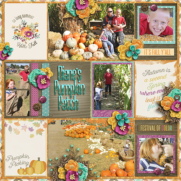 pumpkin patch
