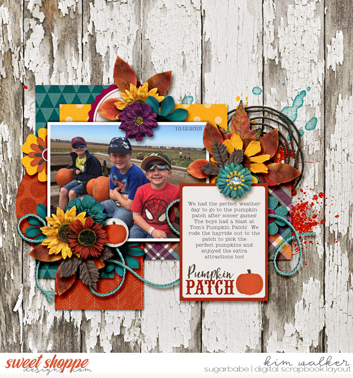 Pumpkin Patch