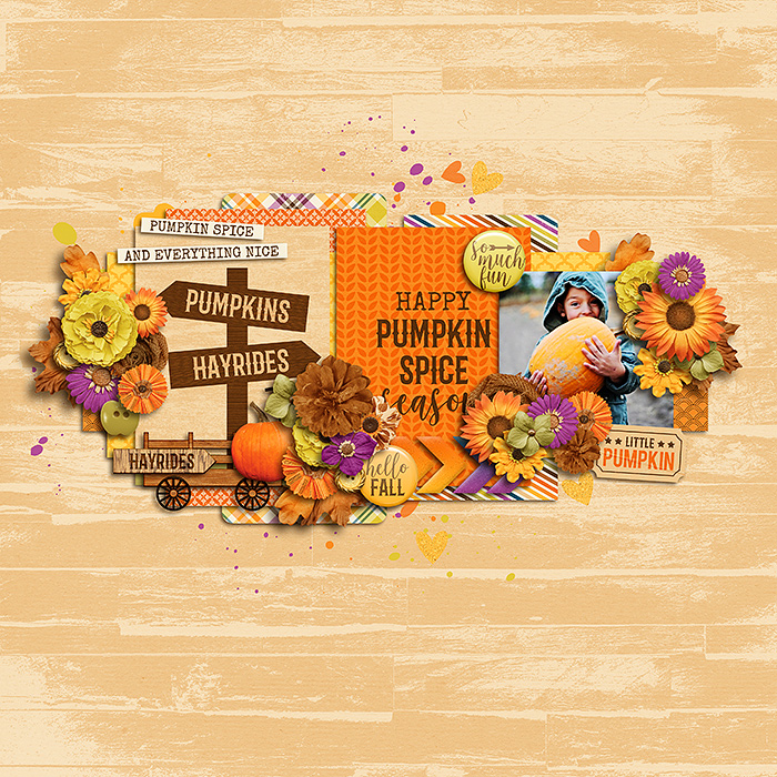 Pumpkin Patch