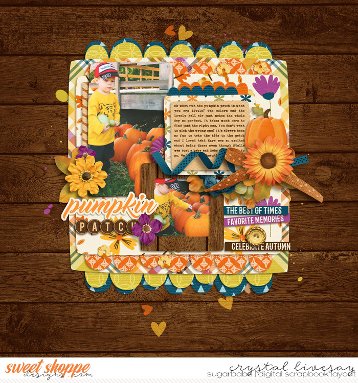 pumpkin patch