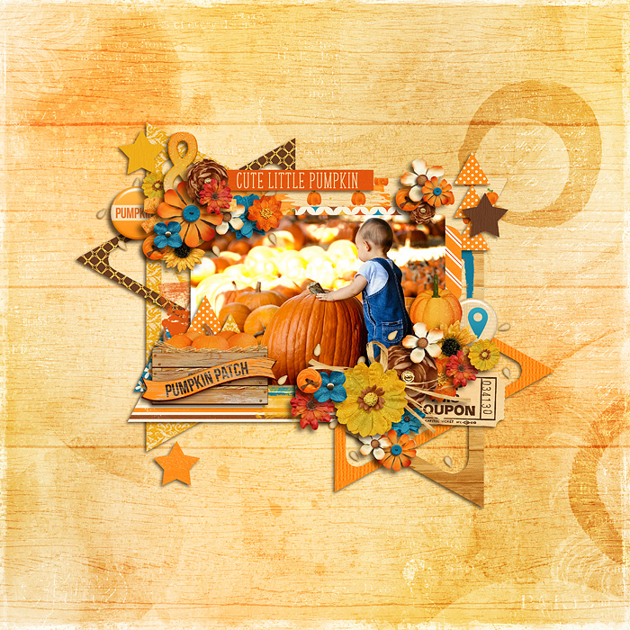 pumpkin patch