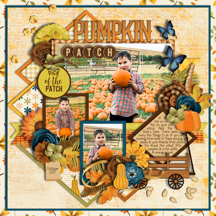 pumpkin patch