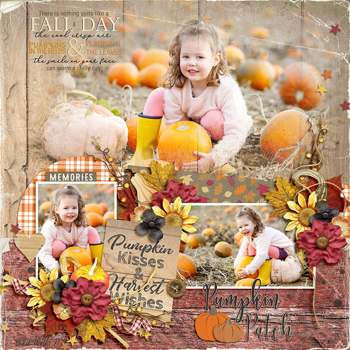 Pumpkin Patch