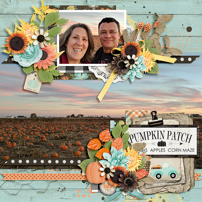 Pumpkin patch